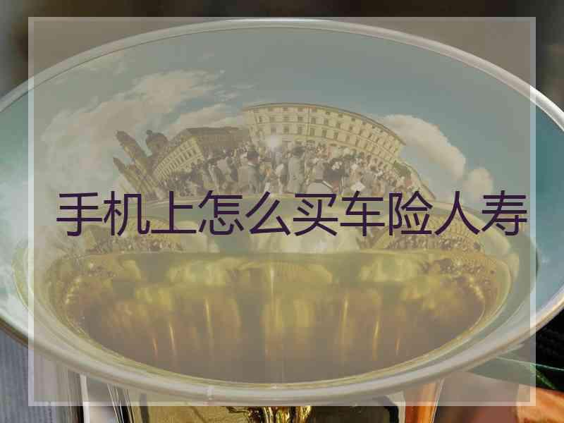 手机上怎么买车险人寿