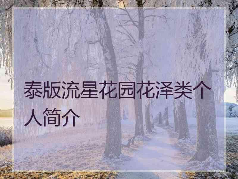 泰版流星花园花泽类个人简介