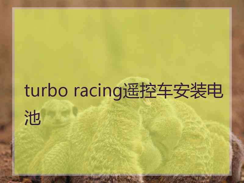 turbo racing遥控车安装电池