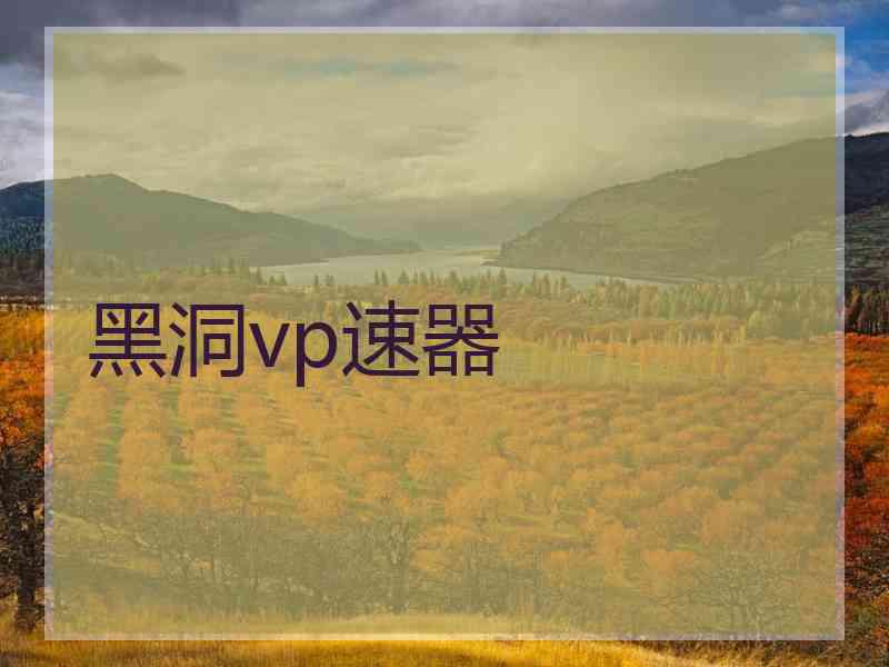 黑洞vp速器