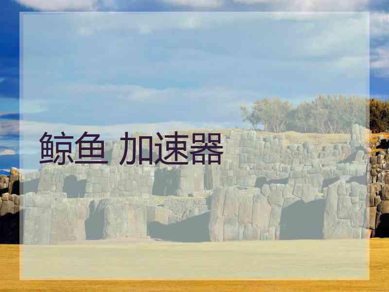 鲸鱼 加速器