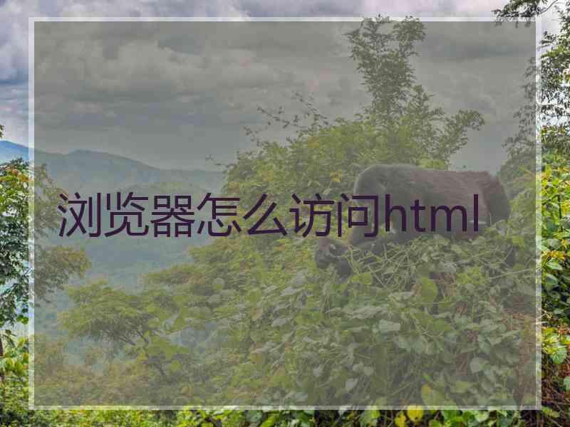 浏览器怎么访问html