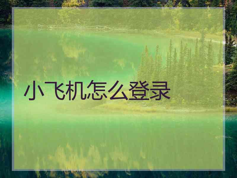 小飞机怎么登录
