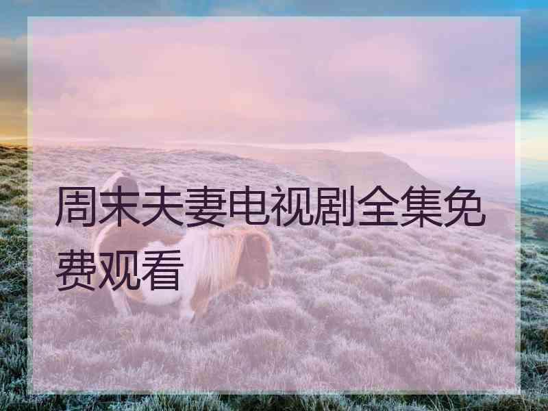 周末夫妻电视剧全集免费观看