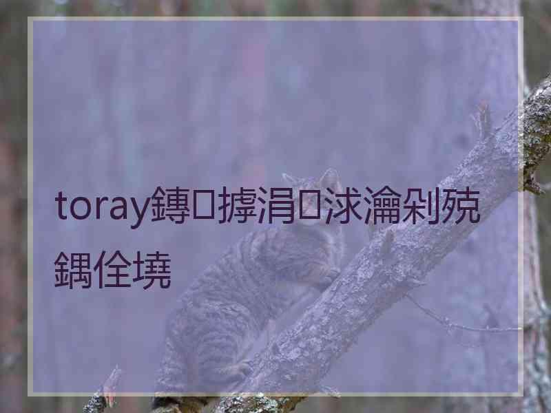 toray鏄摢涓浗瀹剁殑鍝佺墝