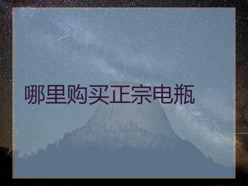 哪里购买正宗电瓶