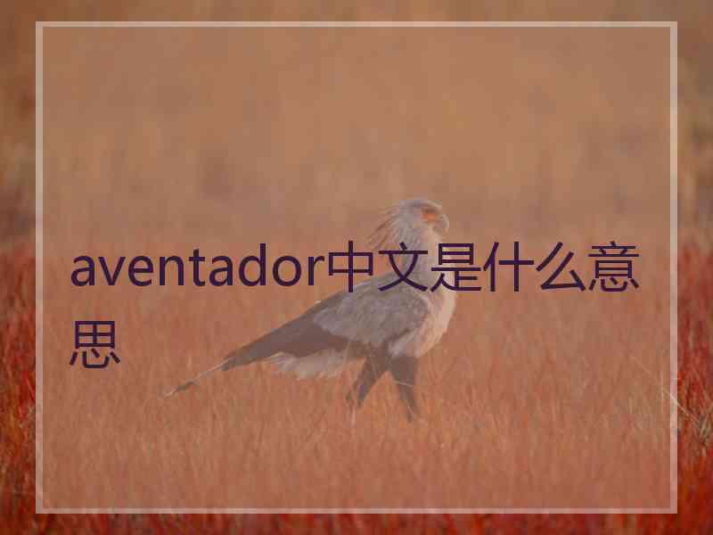 aventador中文是什么意思