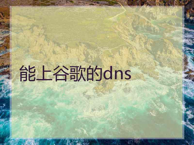 能上谷歌的dns