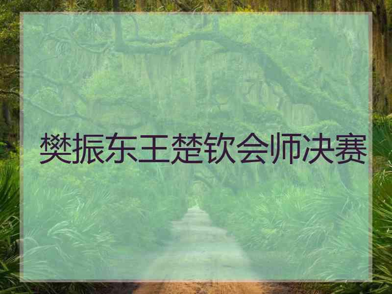 樊振东王楚钦会师决赛
