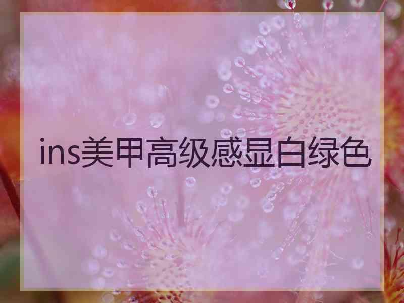 ins美甲高级感显白绿色