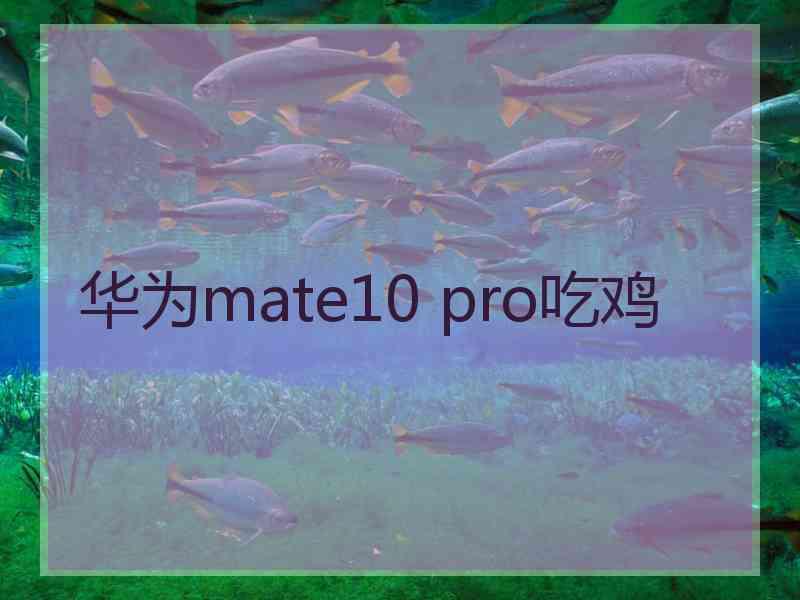 华为mate10 pro吃鸡