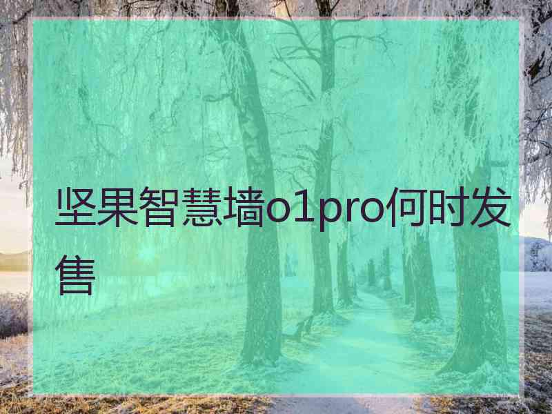 坚果智慧墙o1pro何时发售