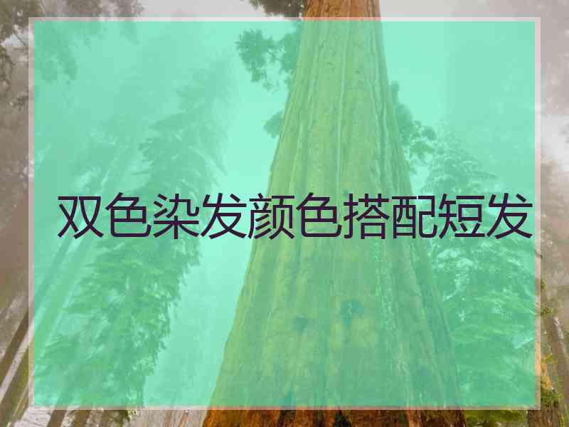 双色染发颜色搭配短发