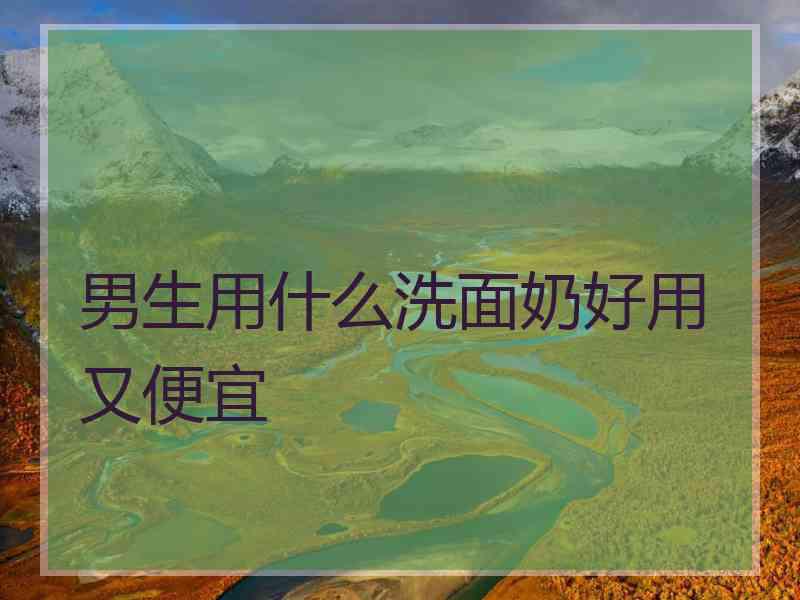 男生用什么洗面奶好用又便宜
