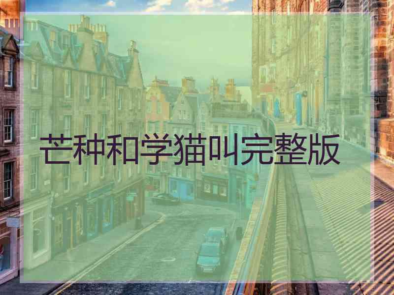 芒种和学猫叫完整版