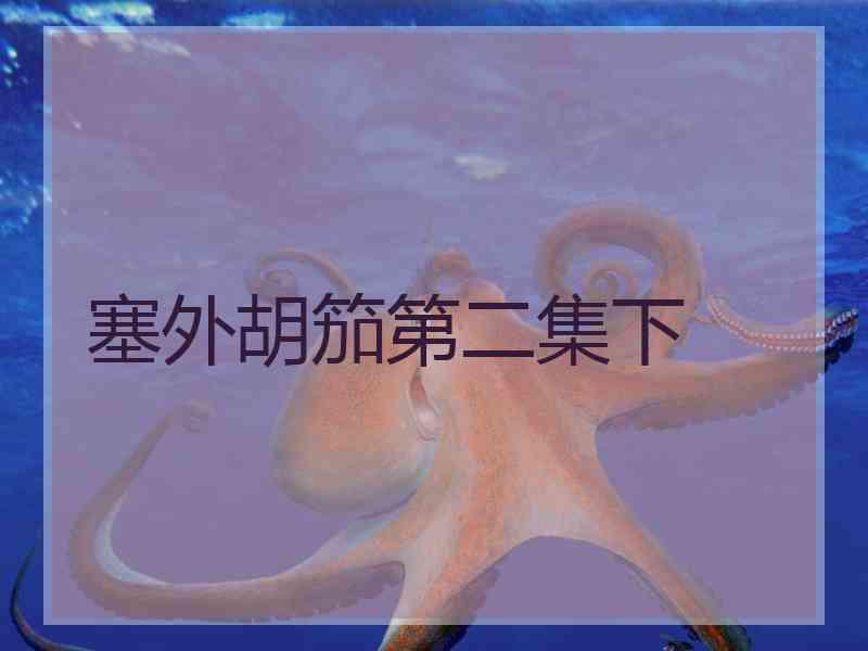 塞外胡笳第二集下