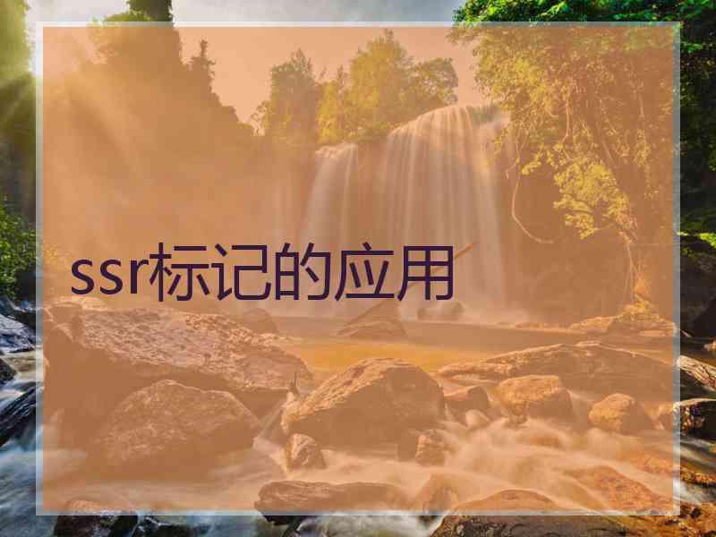 ssr标记的应用