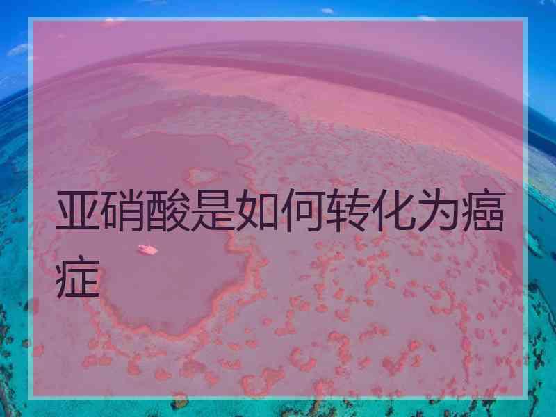 亚硝酸是如何转化为癌症