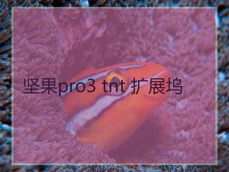 坚果pro3 tnt 扩展坞