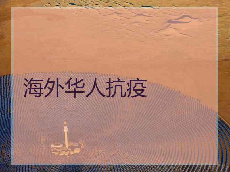海外华人抗疫