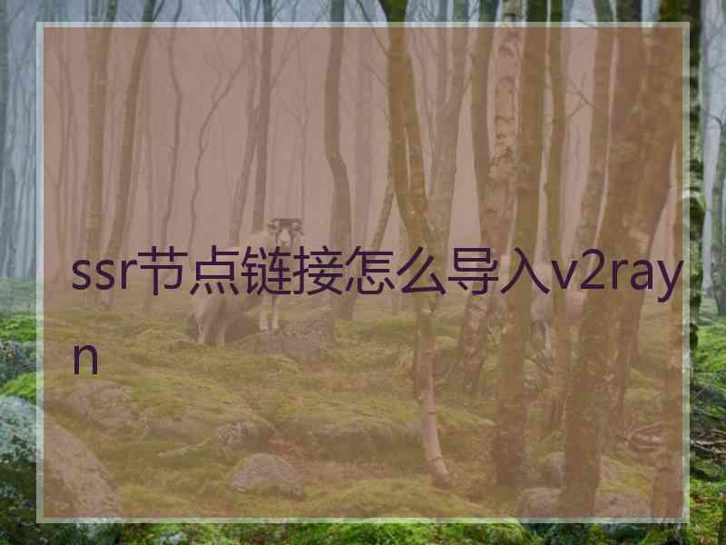 ssr节点链接怎么导入v2rayn