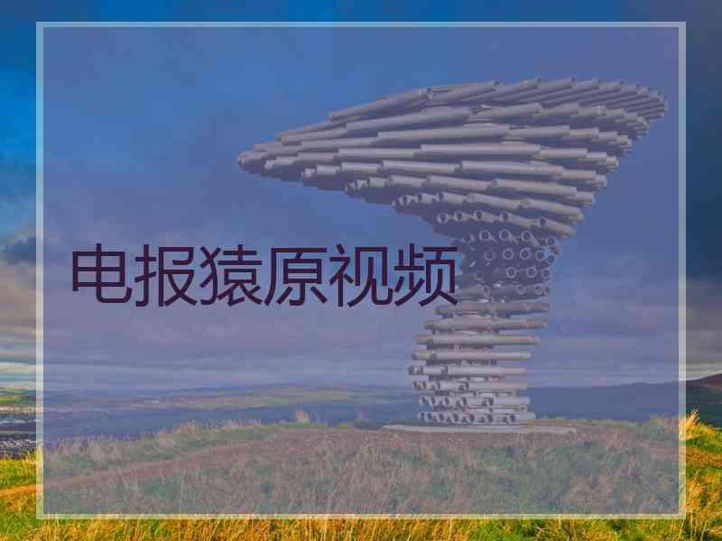 电报猿原视频