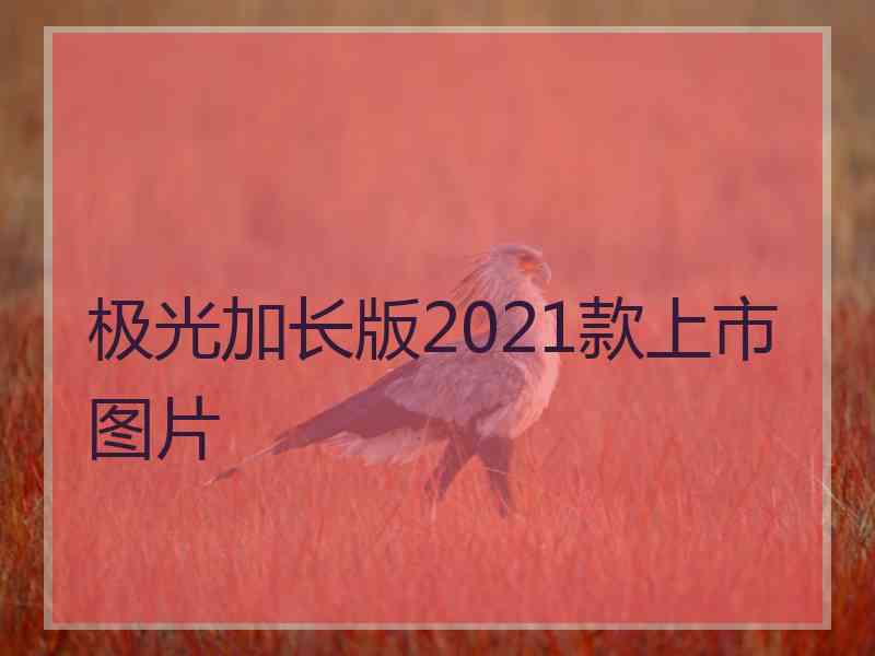 极光加长版2021款上市图片