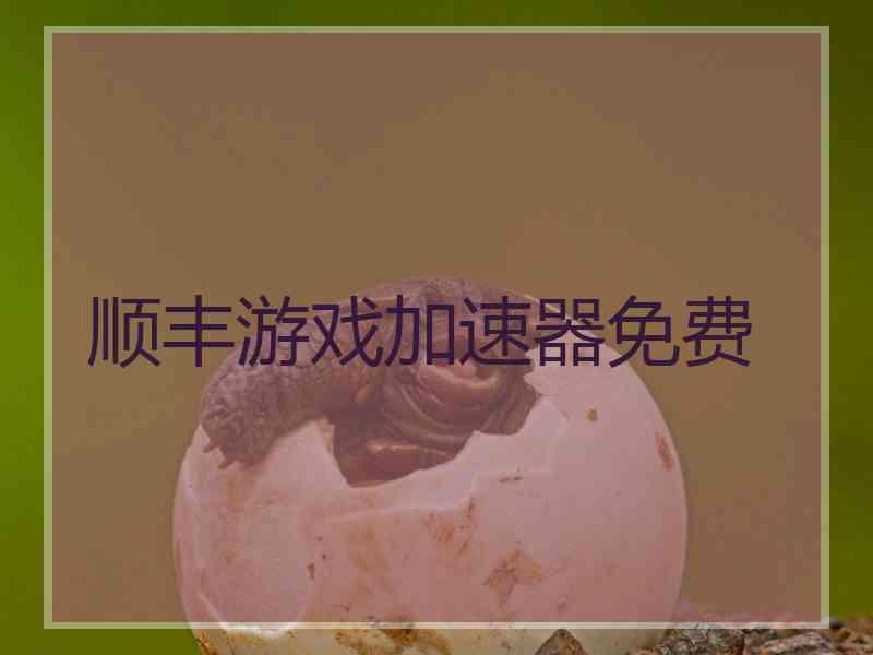 顺丰游戏加速器免费