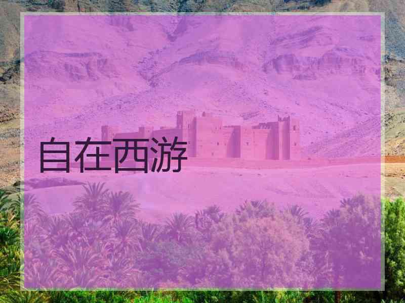 自在西游