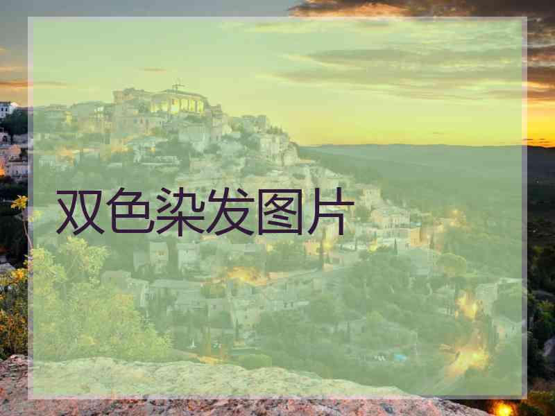 双色染发图片
