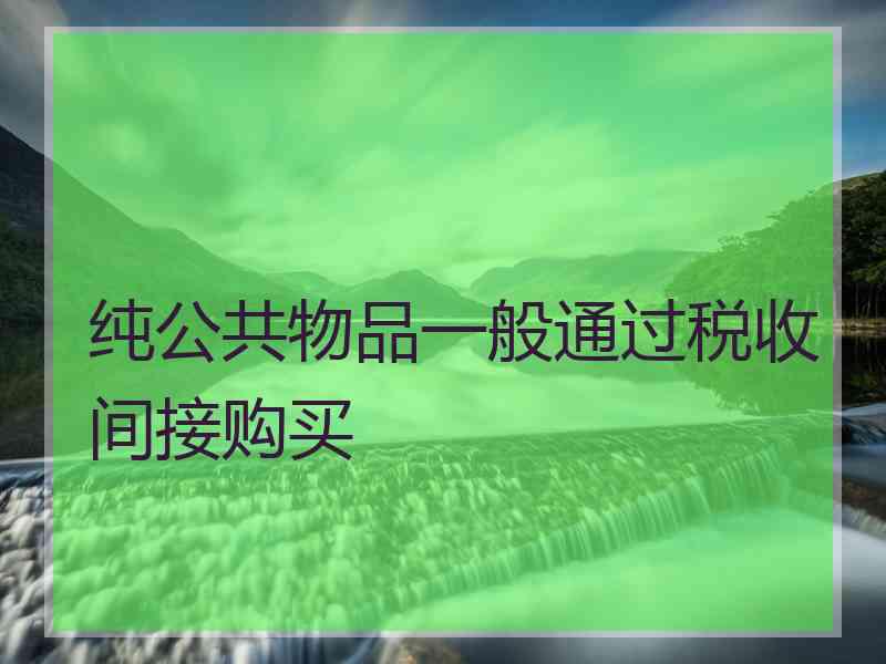 纯公共物品一般通过税收间接购买