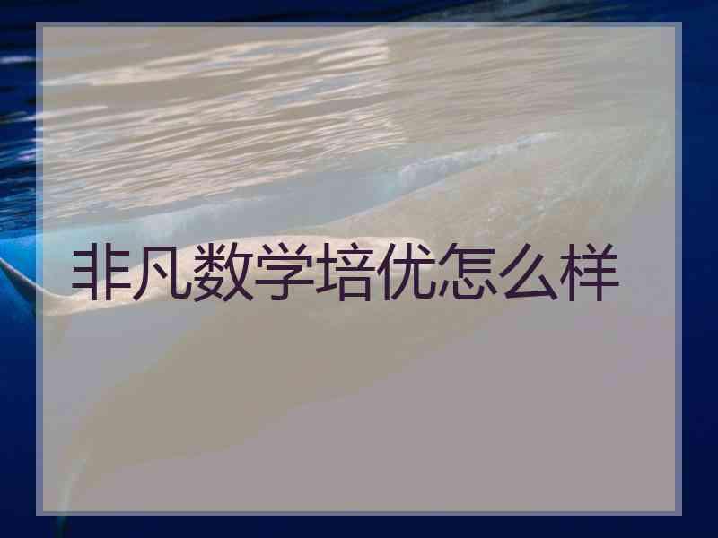 非凡数学培优怎么样