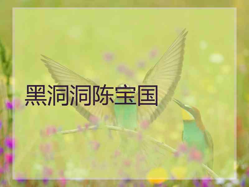 黑洞洞陈宝国