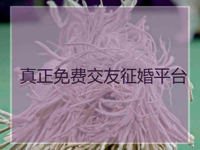 真正免费交友征婚平台