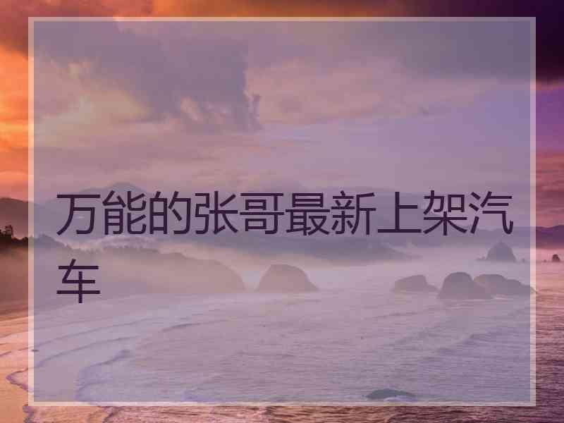 万能的张哥最新上架汽车