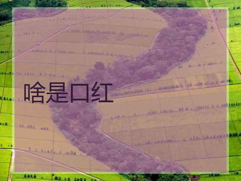 啥是口红