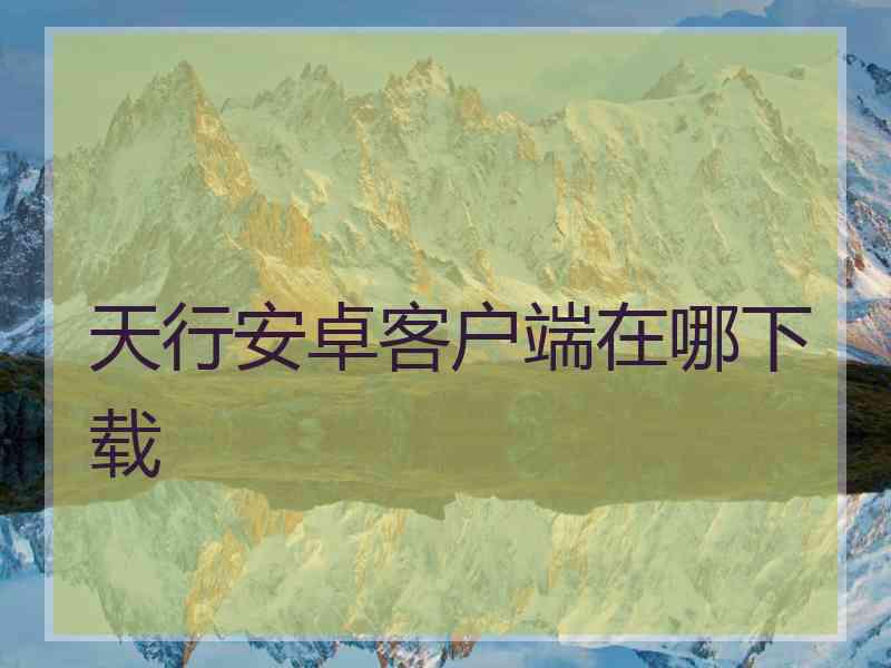 天行安卓客户端在哪下载