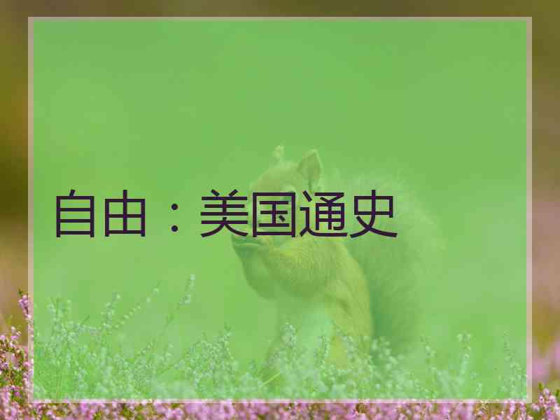 自由：美国通史