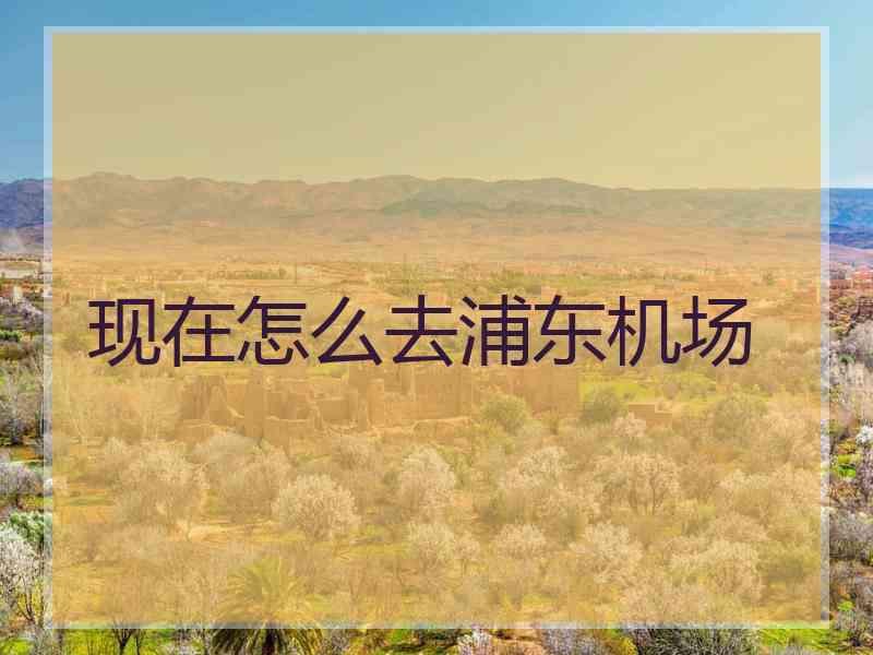 现在怎么去浦东机场