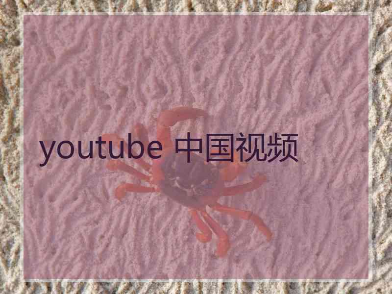 youtube 中国视频