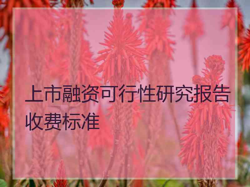 上市融资可行性研究报告收费标准