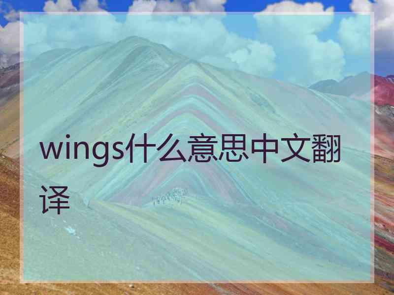 wings什么意思中文翻译