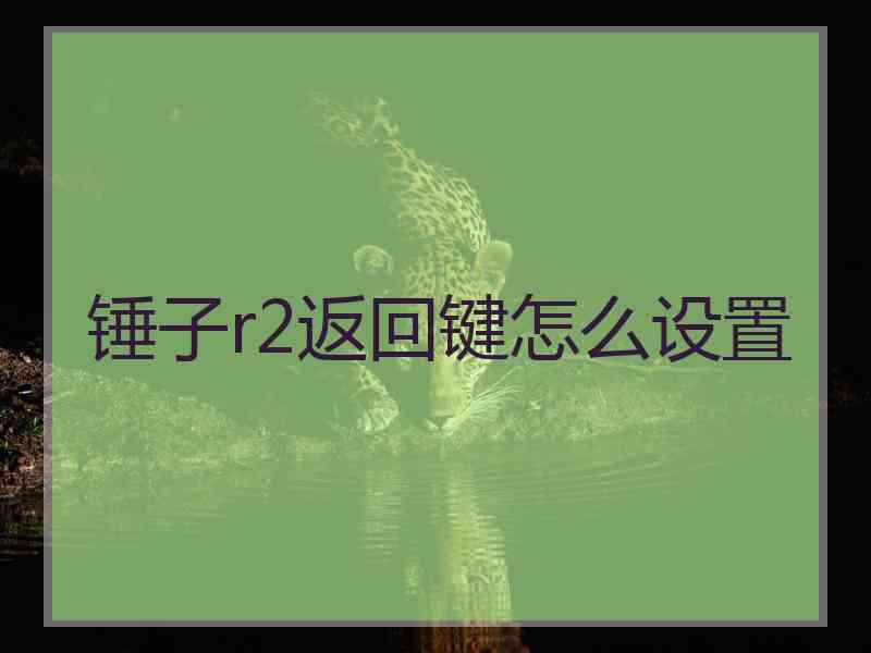 锤子r2返回键怎么设置