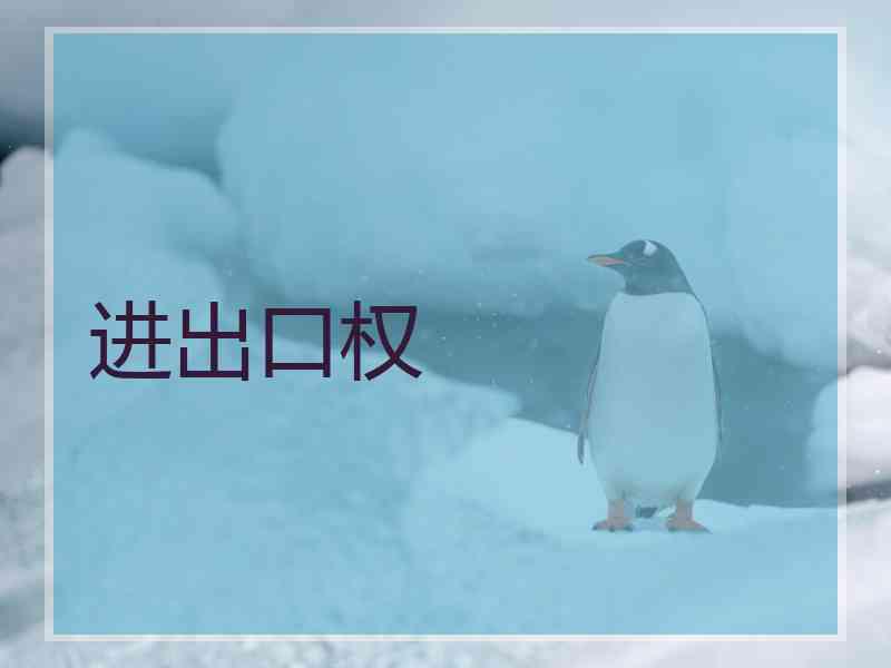 进出口权