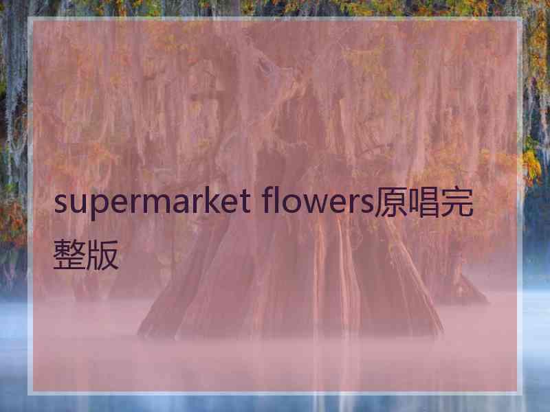 supermarket flowers原唱完整版