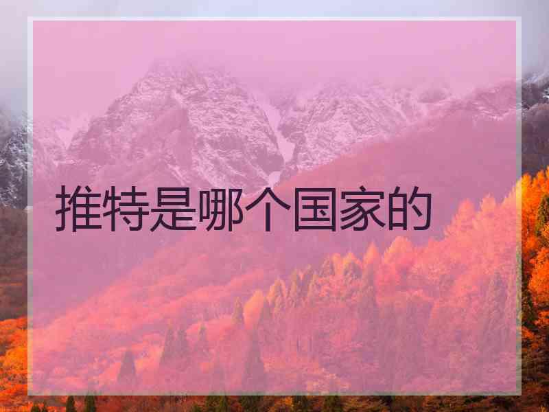 推特是哪个国家的