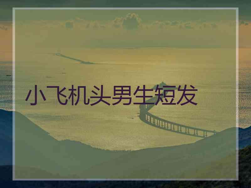 小飞机头男生短发