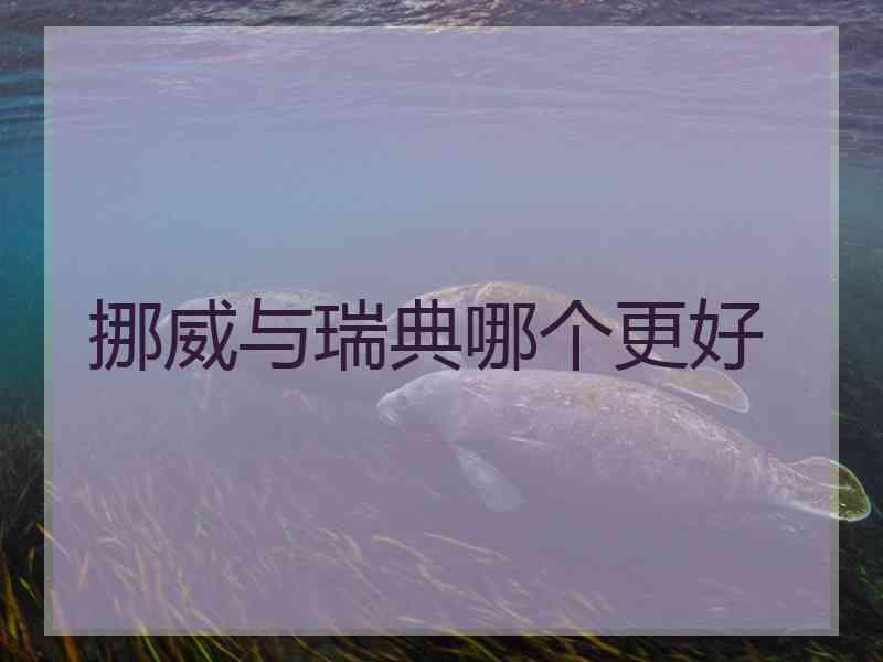 挪威与瑞典哪个更好