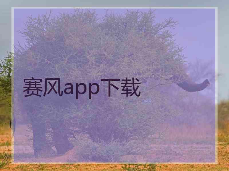赛风app下载