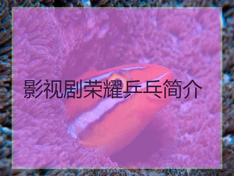 影视剧荣耀乒乓简介